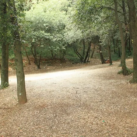 With Wifi Rabac, Labin - 7472 Apartment Rabac